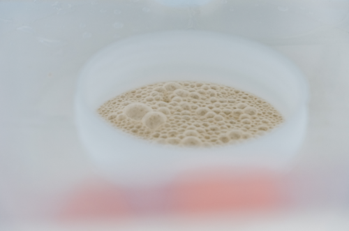 fermentation industrielle biotech