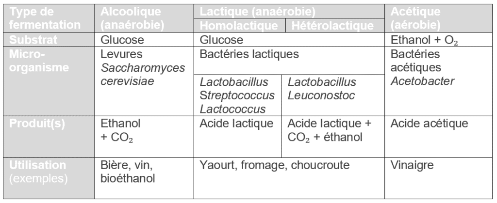tableau fermentation