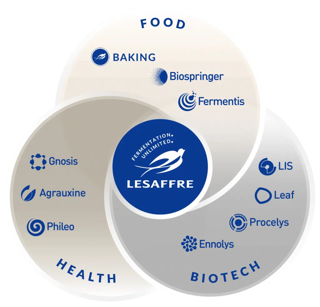 lesaffre activity loop
